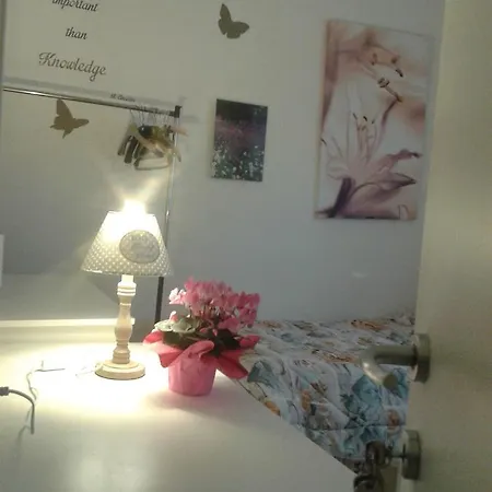 B&B Solidale Il Giglio 2*