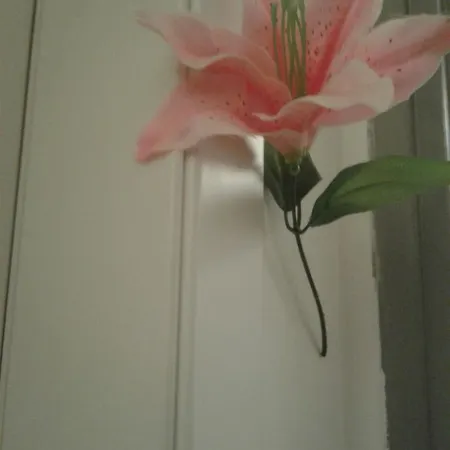 Bed & Breakfast B&B Solidale Il Giglio